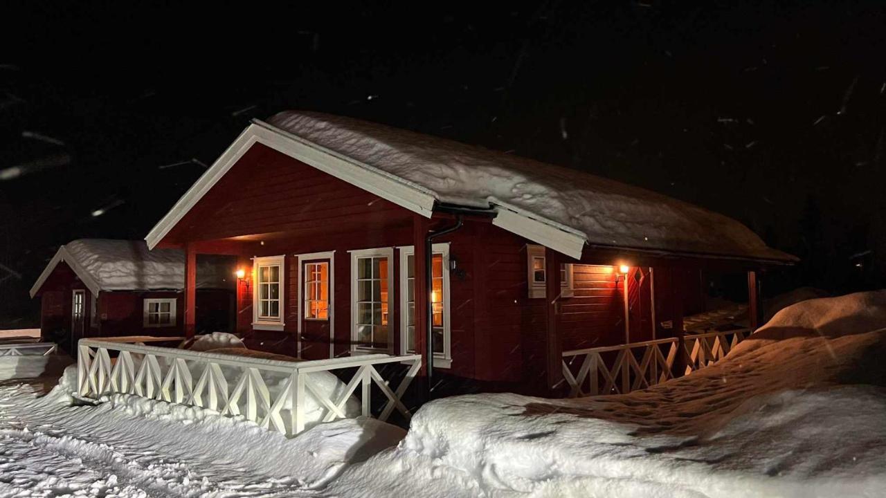Saltvold Hytte Nr8 Røldal Extérieur photo