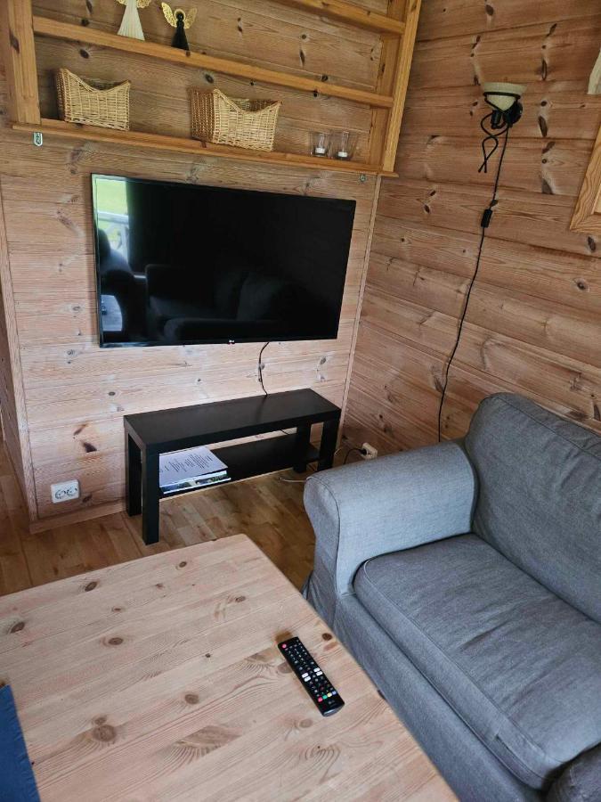Saltvold Hytte Nr8 Røldal Extérieur photo